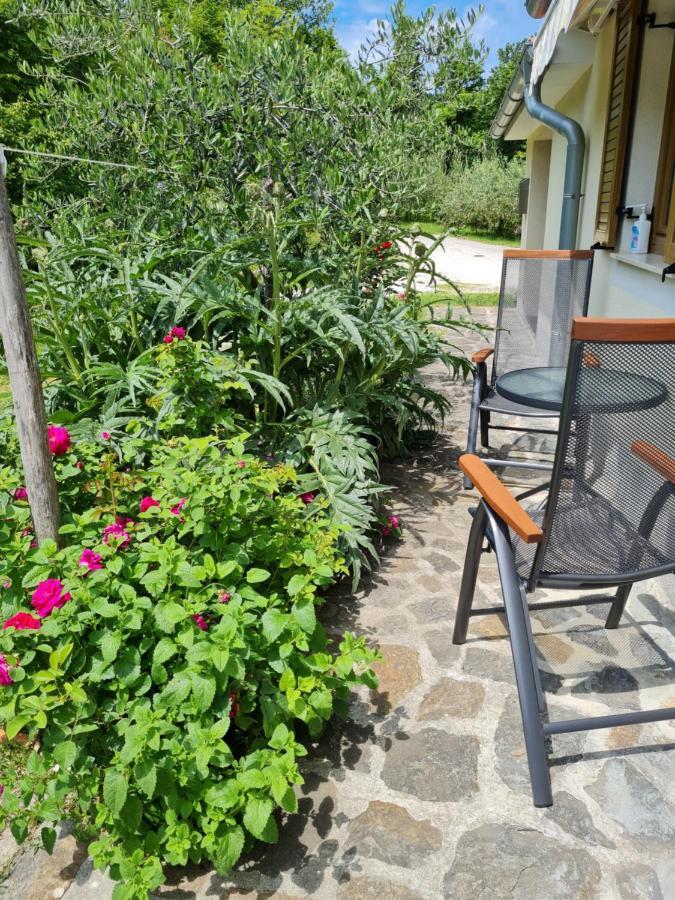 Apartma Istra Zora Sečovlje 외부 사진