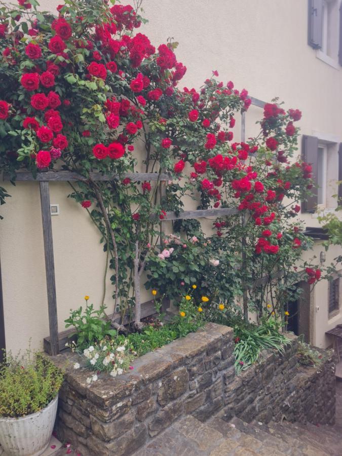 Apartma Istra Zora Sečovlje 외부 사진