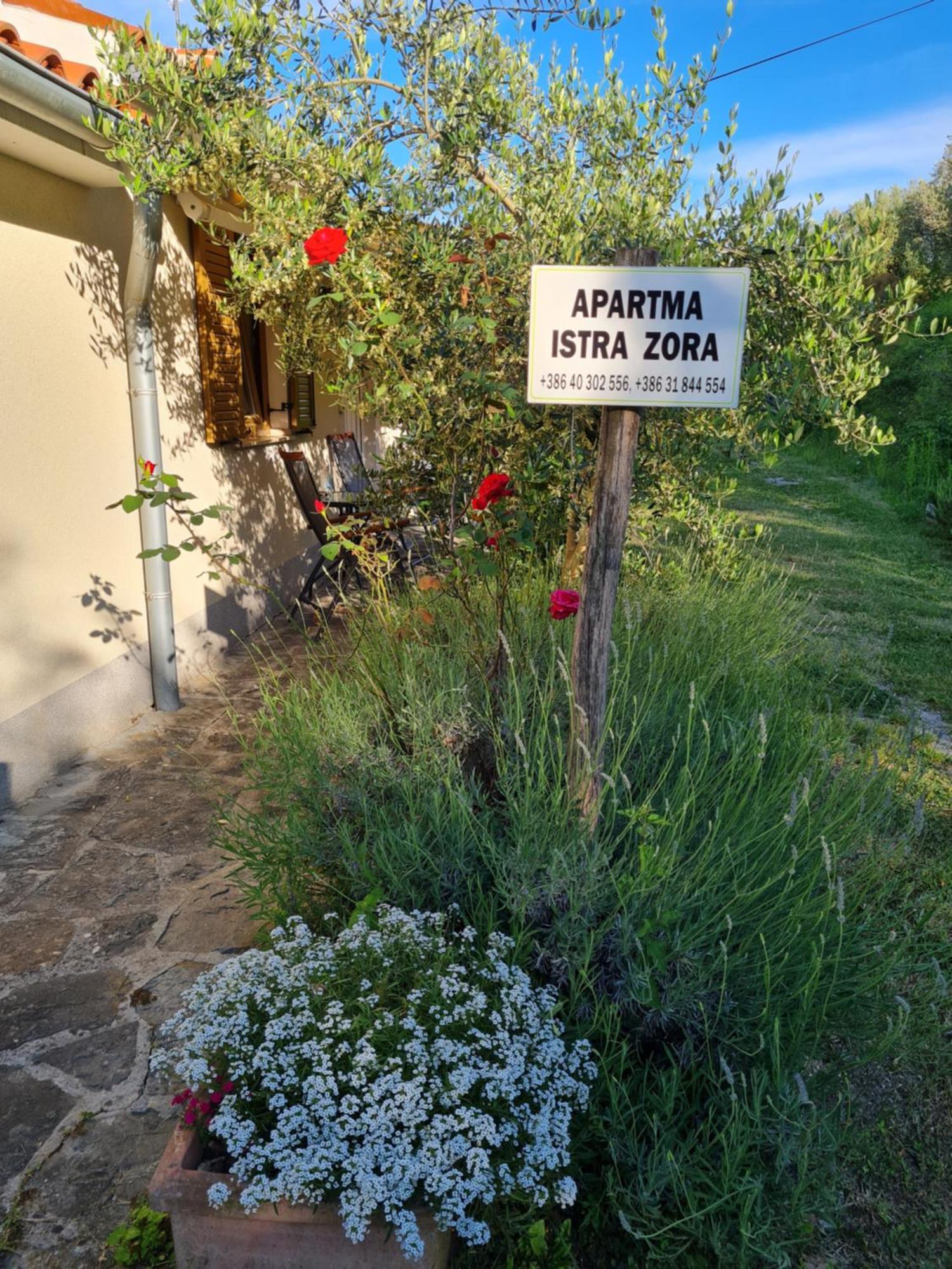 Apartma Istra Zora Sečovlje 외부 사진
