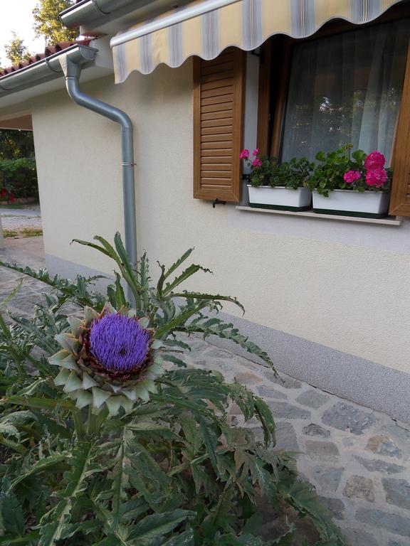 Apartma Istra Zora Sečovlje 외부 사진