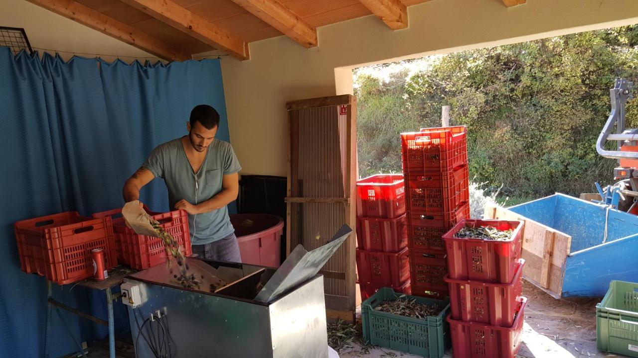 Apartma Istra Zora Sečovlje 외부 사진